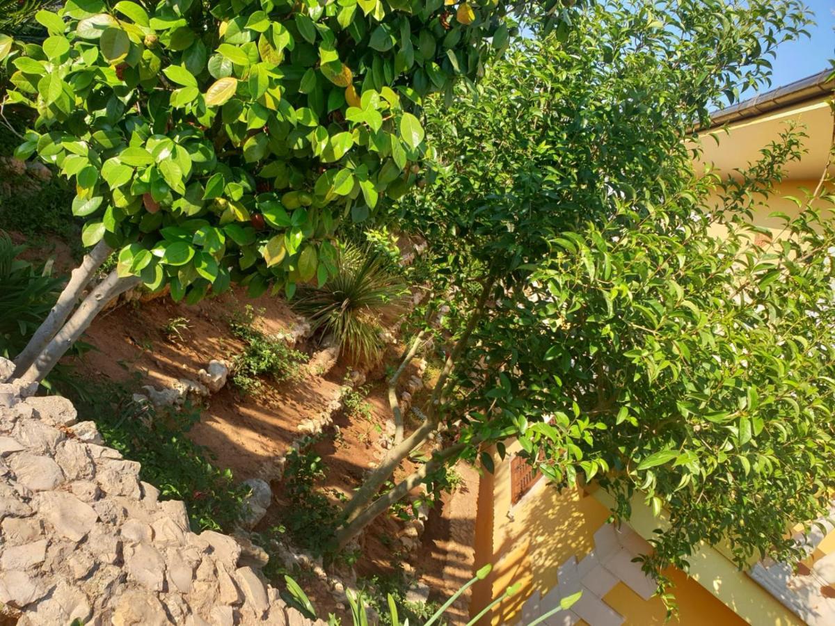 Villa Sargheruoli Monteroni di Lecce Ngoại thất bức ảnh